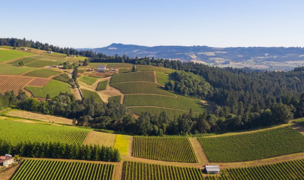 Lemelson Vineyards, Meyer Vineyard